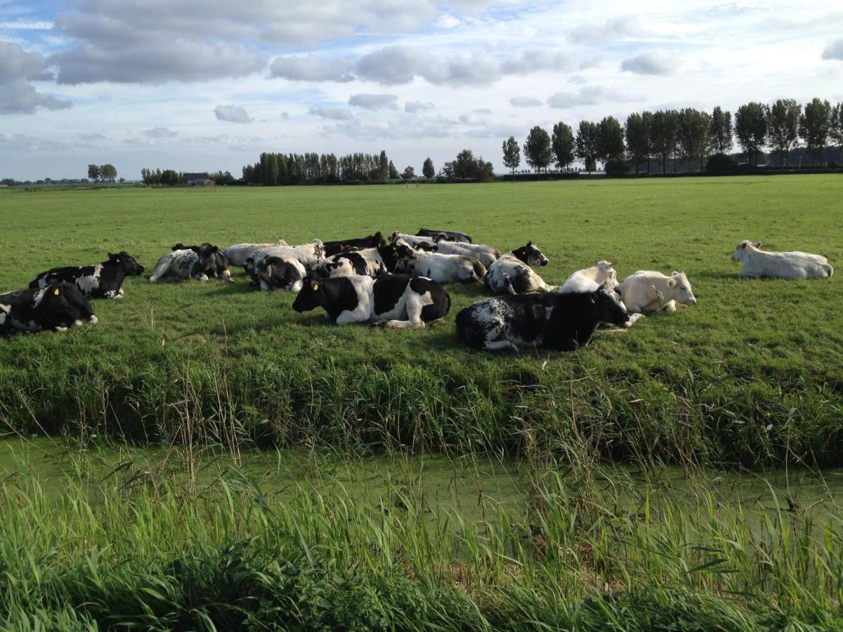 Benb Voorneputten Simonshaven 외부 사진